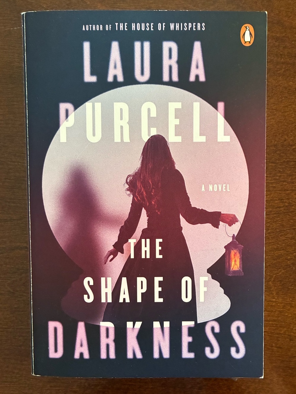 Laura Purcell The Shape of Darkness - Paperback - Bundle 3 for $15
